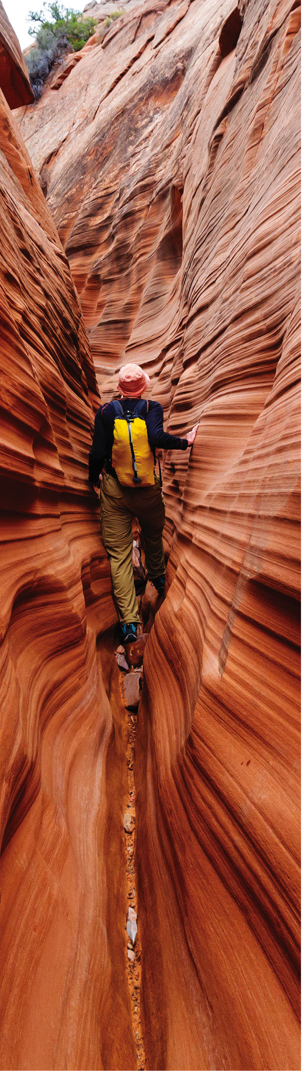 Slot canyon in Grand Staircase- Escalante National Park A Look at utah I n - photo 6