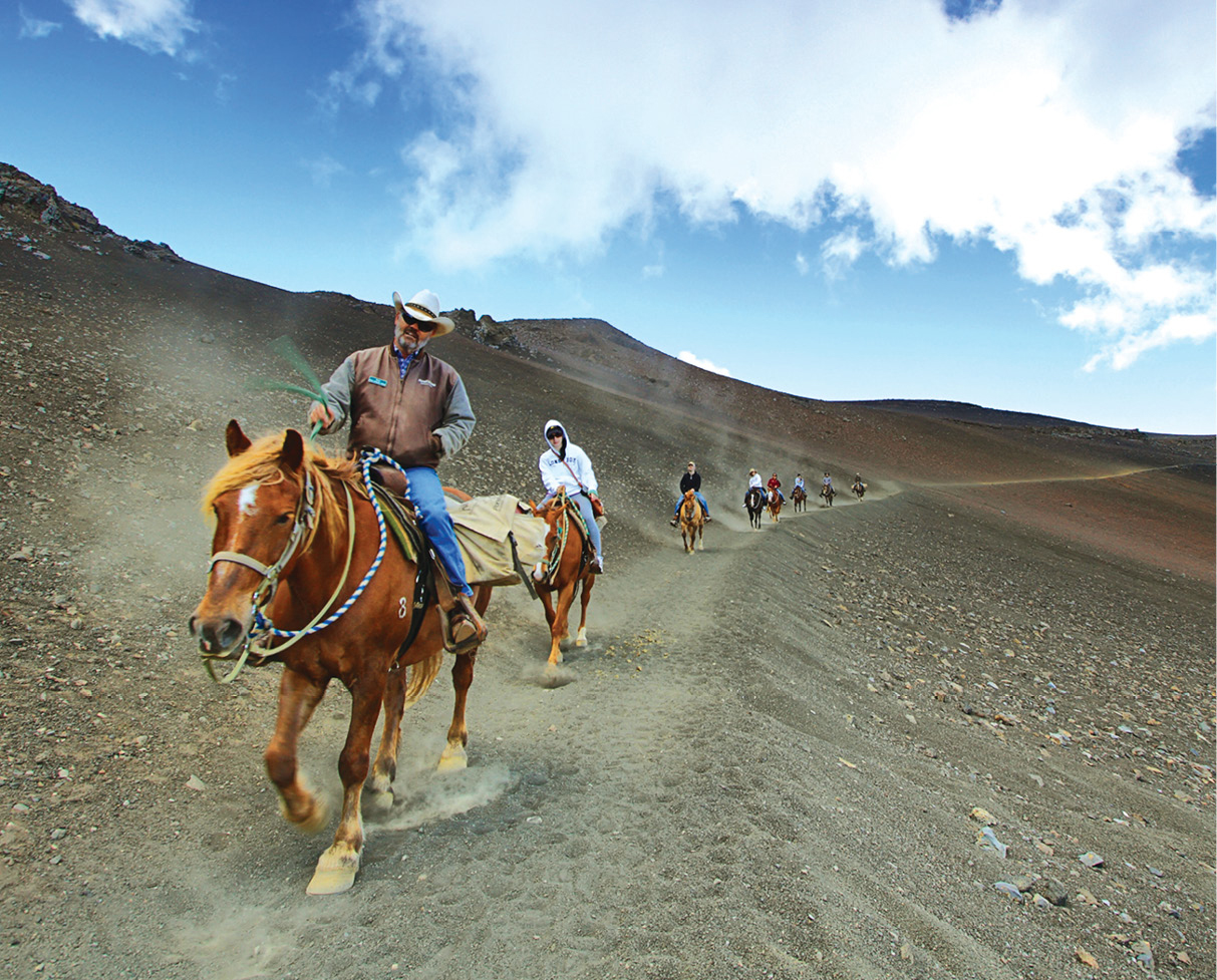 Riding horseback along Sliding Sands Trail which descends to the valley floor - photo 13