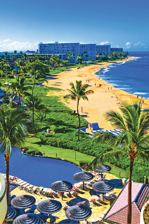 A high-rise view of resorts along Kaanapali Beach See An artisan in - photo 22