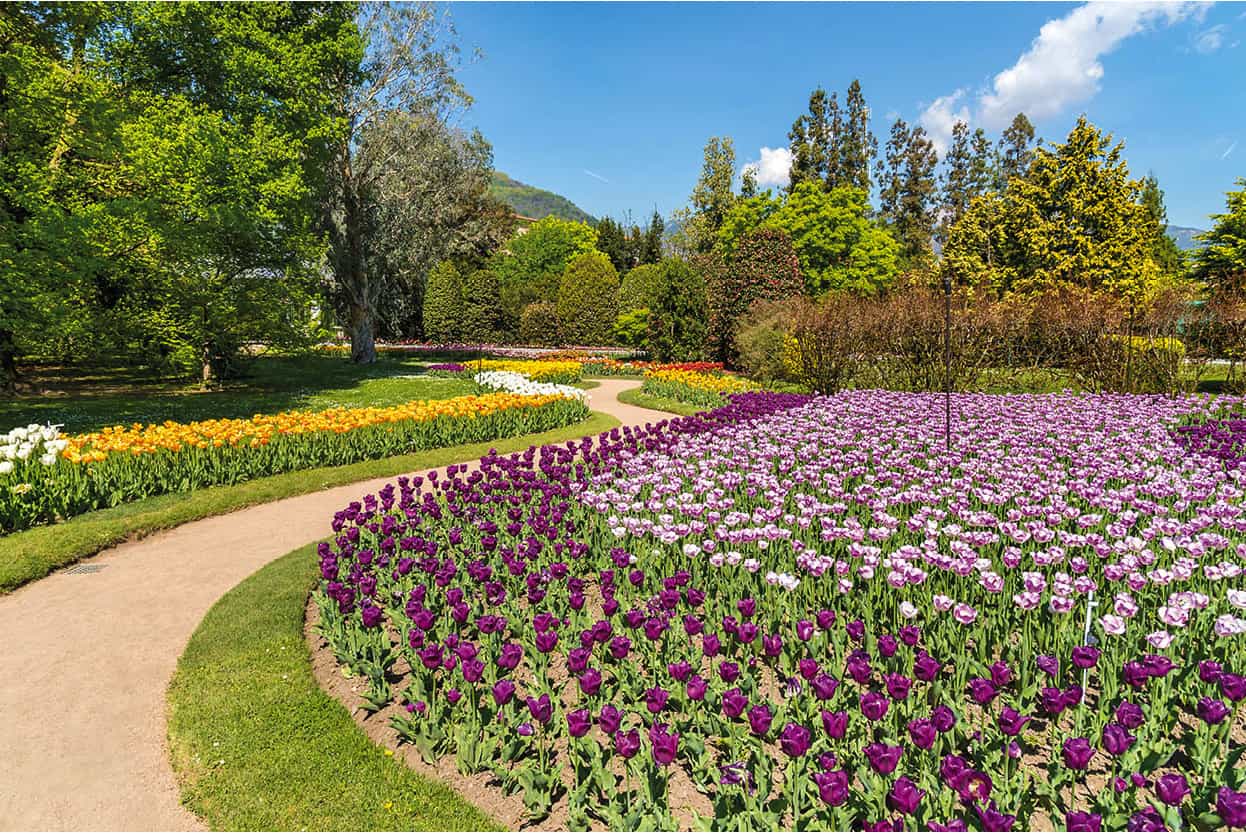 Top Attraction 8 Shutterstock Villa Taranto Its botanical gardens are planted - photo 11