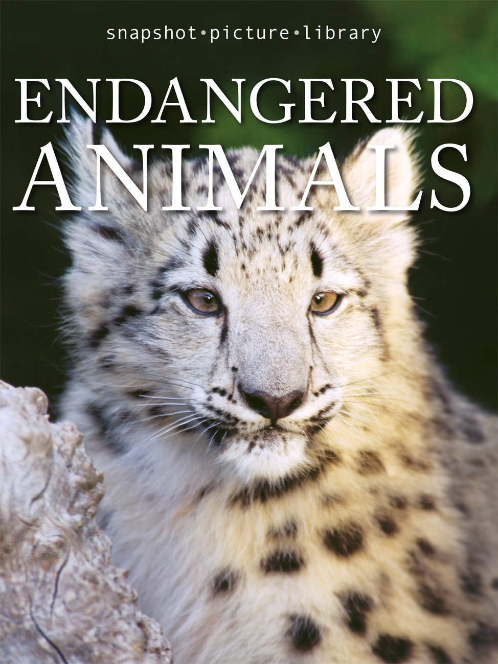 Endangered Animals - image 1