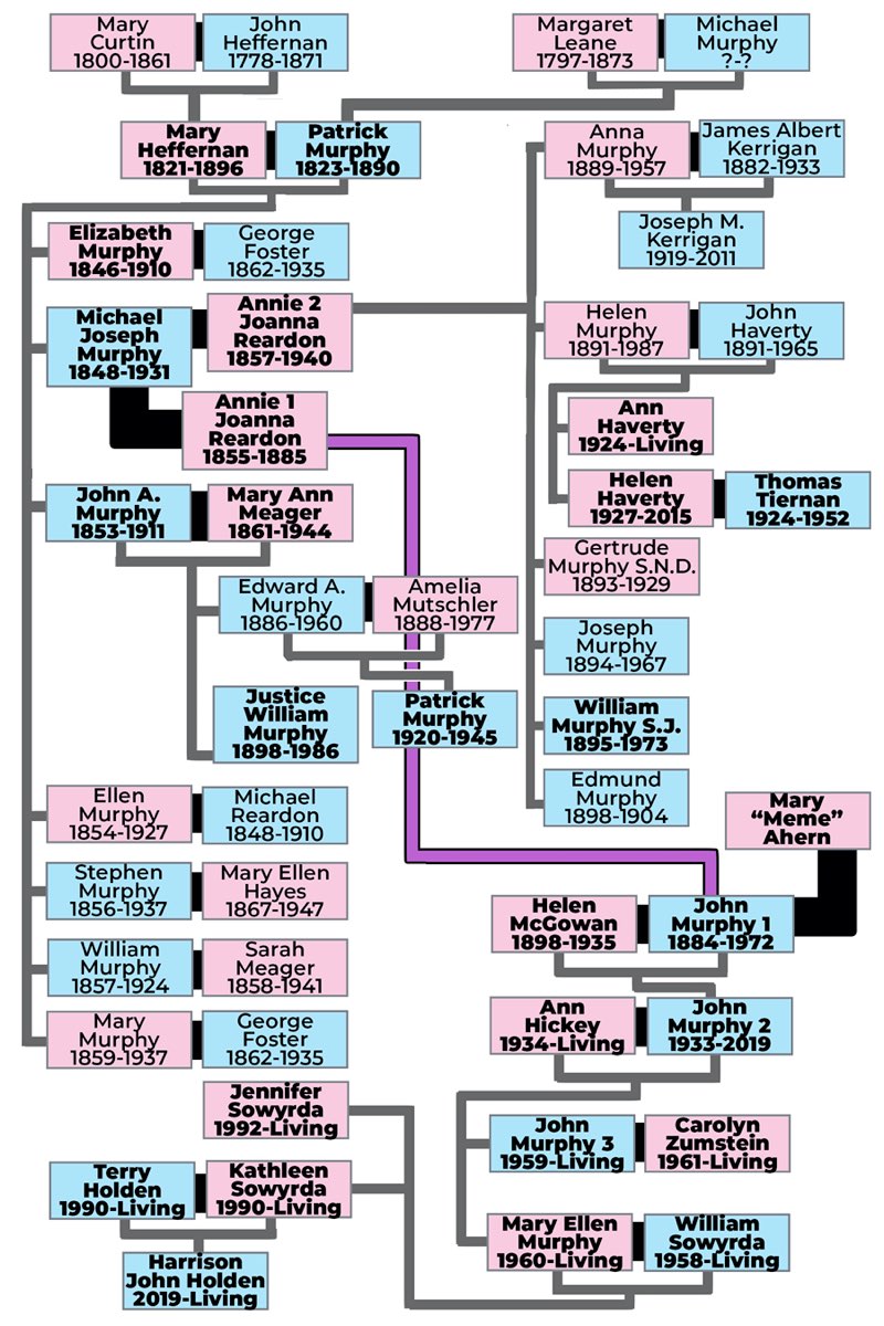 Murphy Family Tree Abbreviated Lines Legend The thick black lines indicate - photo 5