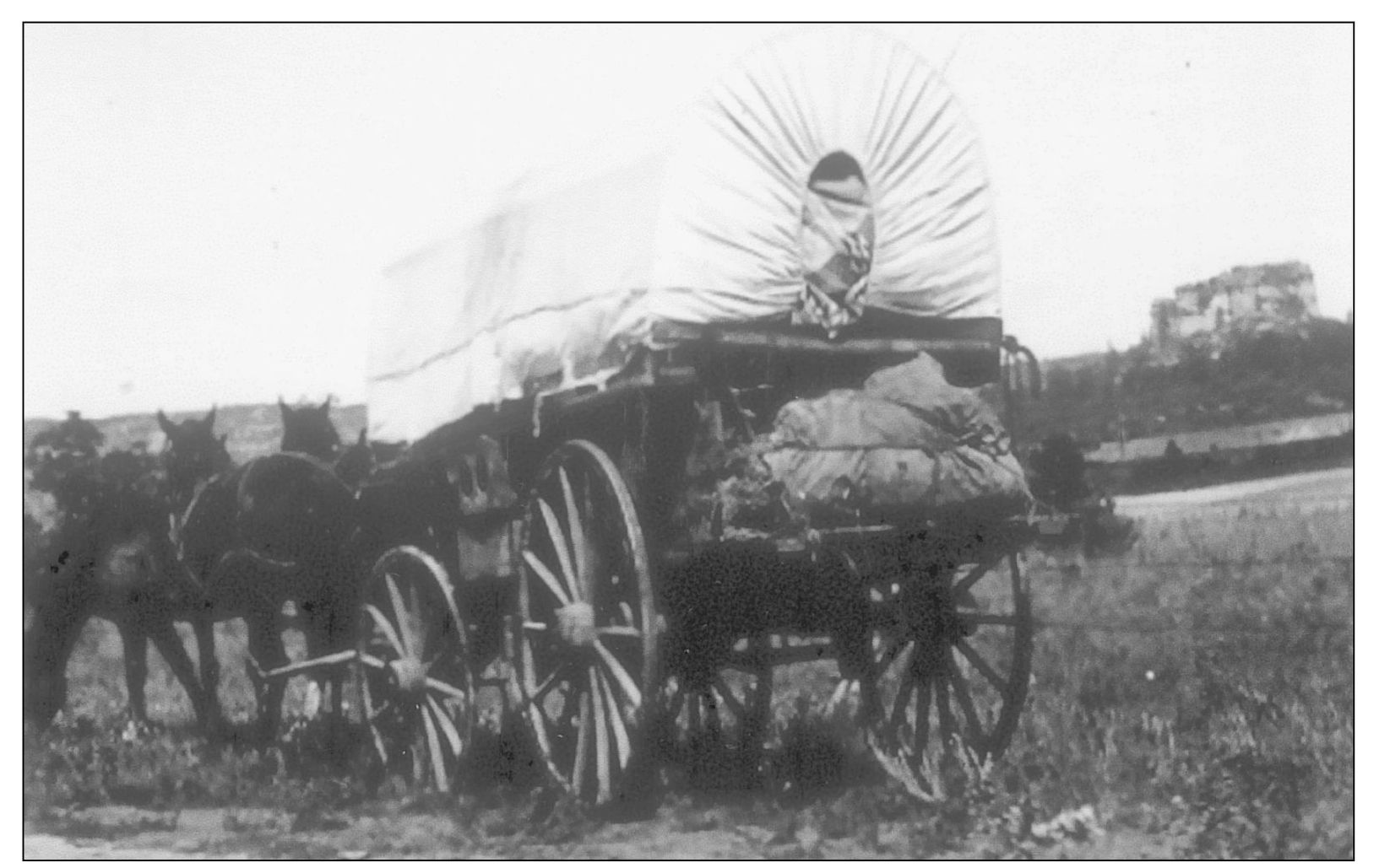 This is the back of James McKinneys covered wagon as he and his family move - photo 3