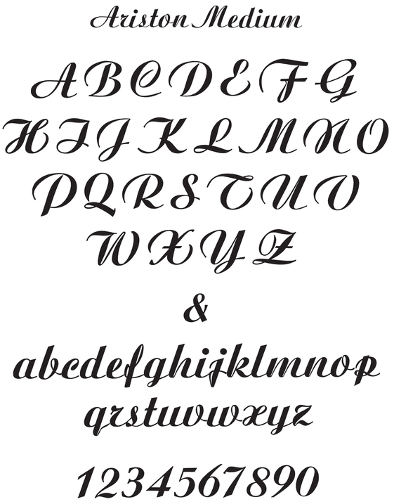 Bold Script Alphabets - photo 8