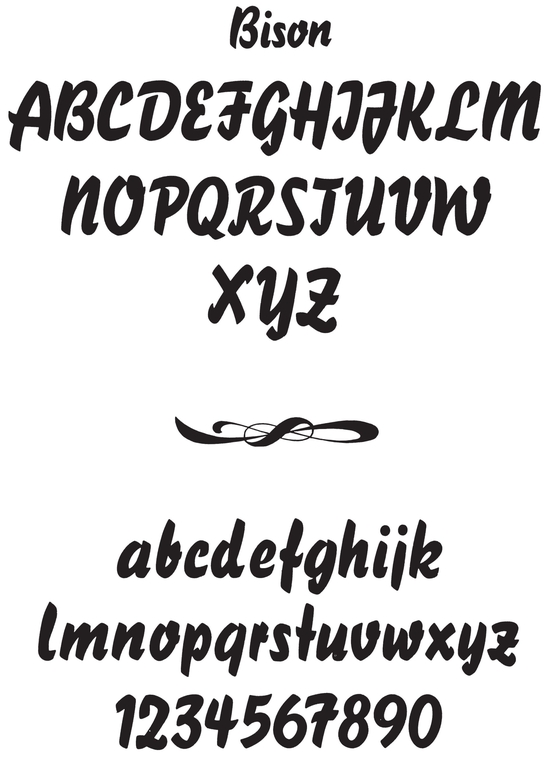 Bold Script Alphabets - photo 13