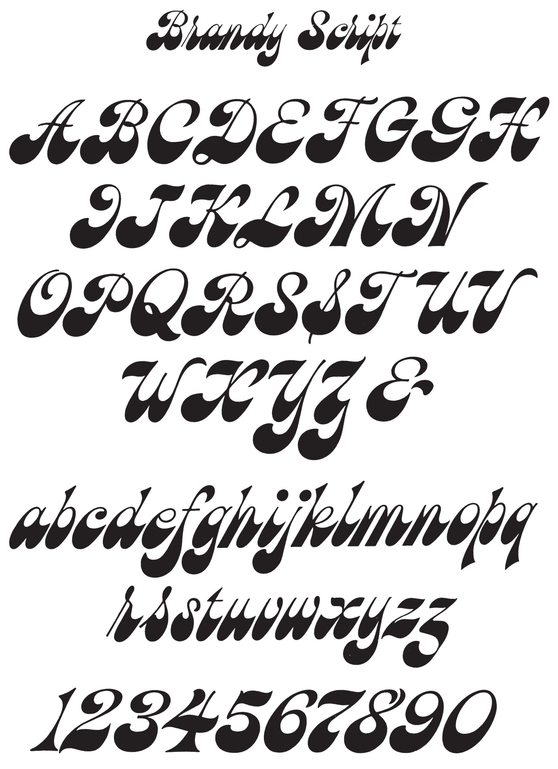 Bold Script Alphabets - photo 17