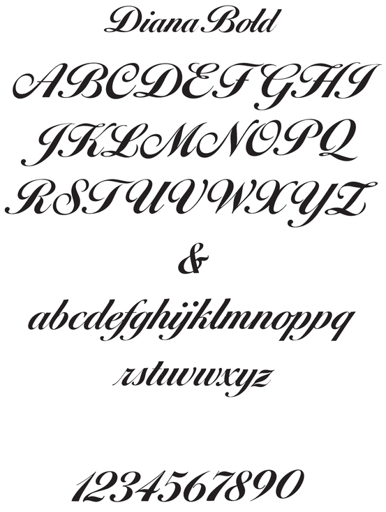 Bold Script Alphabets - photo 29