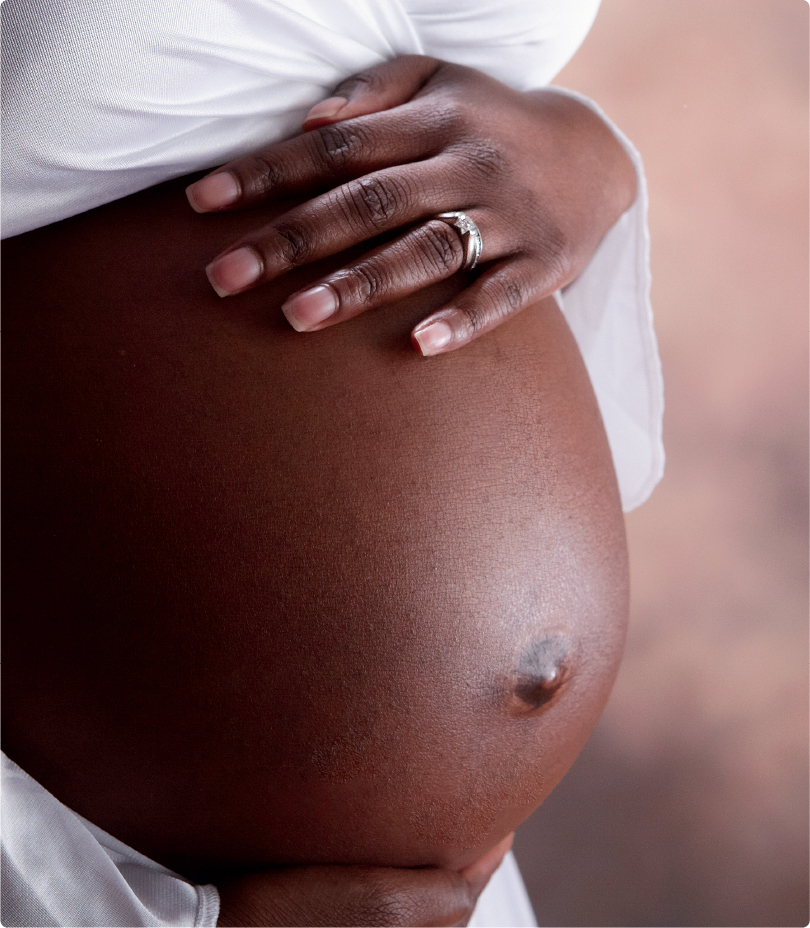 Black Pregnant and Loving It The Comprehensive Pregnancy Guide for Todays Woman of Color - image 2