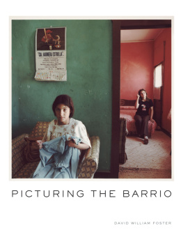 David William Foster - Picturing the Barrio: Ten Chicano Photographers