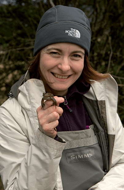 The author holds an Oregon spotted frog Canadas most endangered amphibian in - photo 4