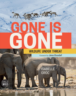 Isabelle Groc - Gone Is Gone: Wildlife Under Threat