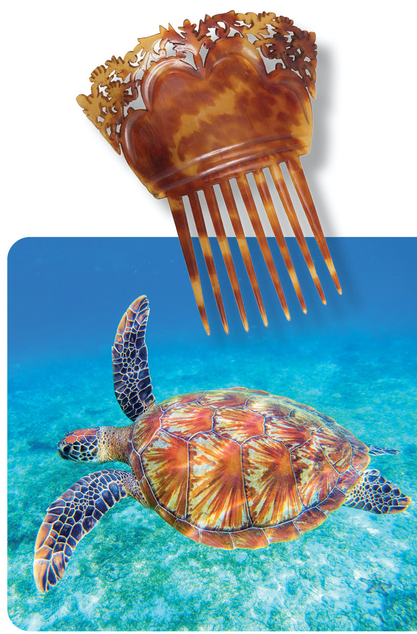 Hair combs used to be made out of tortoiseshell a beautiful durable material - photo 7