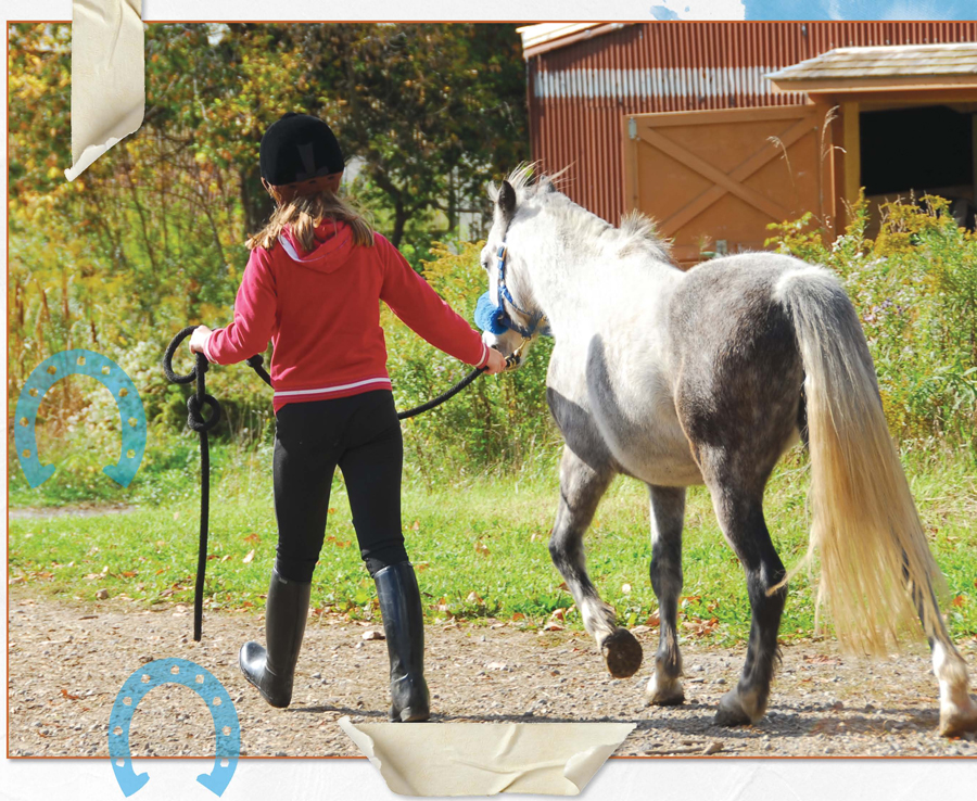 If I live in a stable please let me out into the field regularly If Im stuck - photo 14