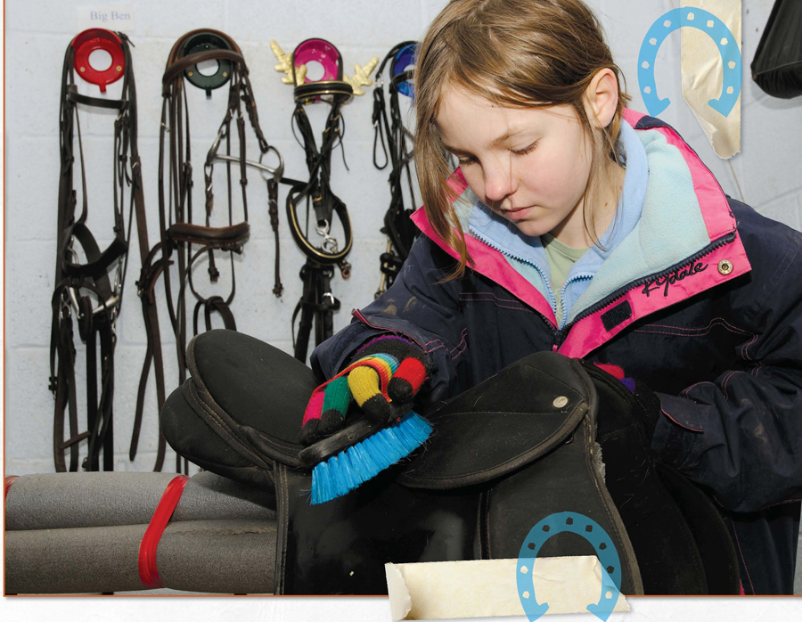 If you look after your tack properly it should last for many years Wipe it - photo 16