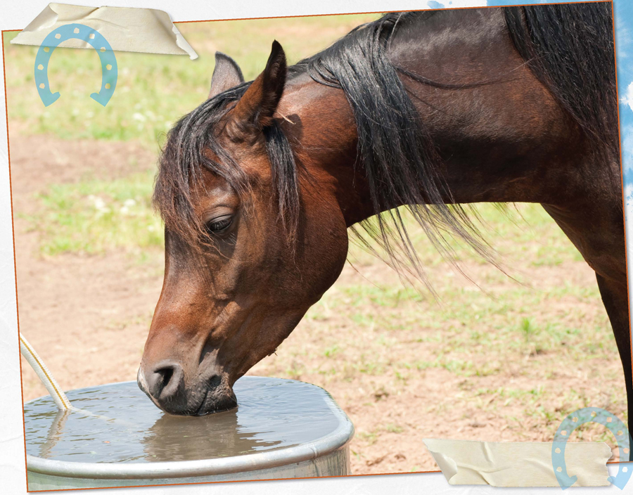 I need to drink lots of water every day otherwise I can become seriously sick - photo 18