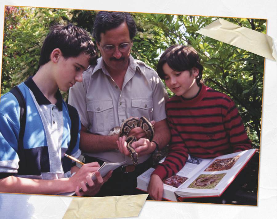 A healthy snake has bright eyes smooth skin and a flicking tongue Ask to see - photo 6