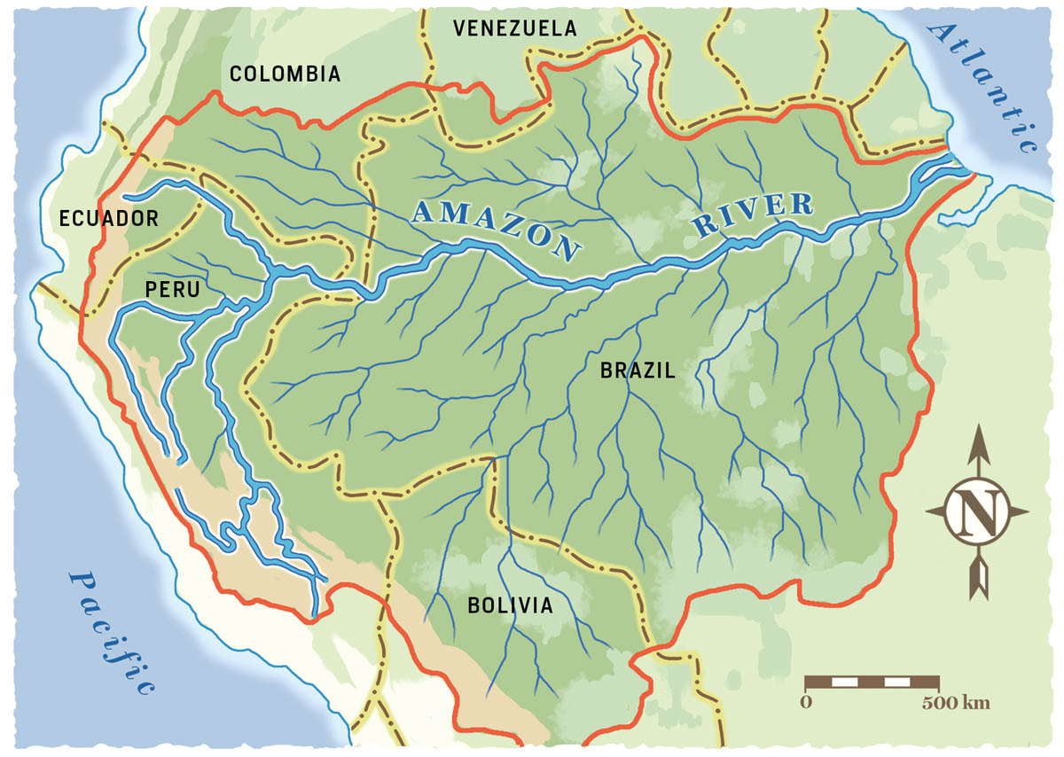 Terra preta was first discovered in the Amazon River basin While tribal - photo 8