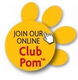 Meet other Pom owners just like you On our Pomeranian forums you can chat - photo 4