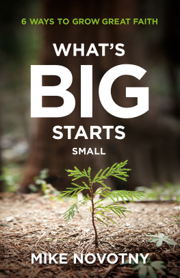 Mike Novotny Whats Big Starts Small: 6 Ways to Grow Great Faith