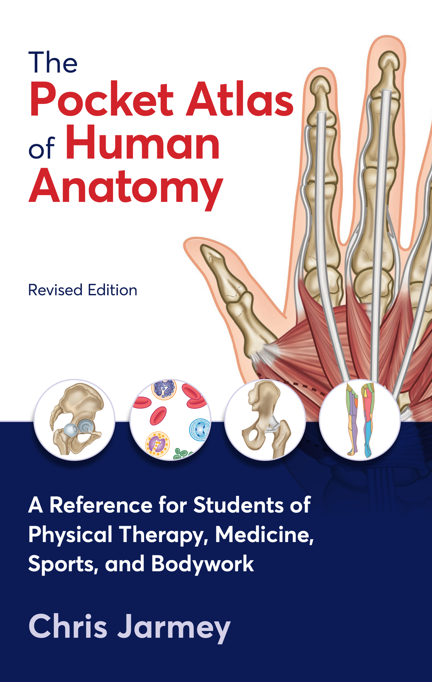 The Pocket Atlas of Human Anatomy A Reference for Students of Physical Therapy - photo 1