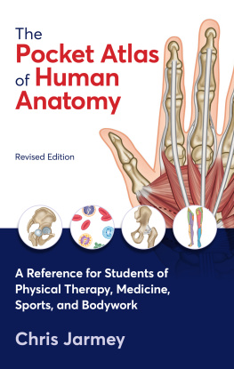 Chris Jarmey The Pocket Atlas of Human Anatomy: A Reference for Students of Physical Therapy, Medicine, Sports, and Bodywork