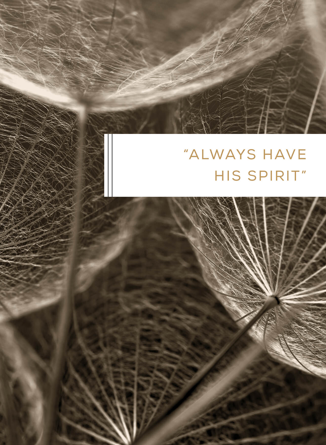 Let the Holy Spirit Guide Throughout our lives we have had the opportunity to - photo 3