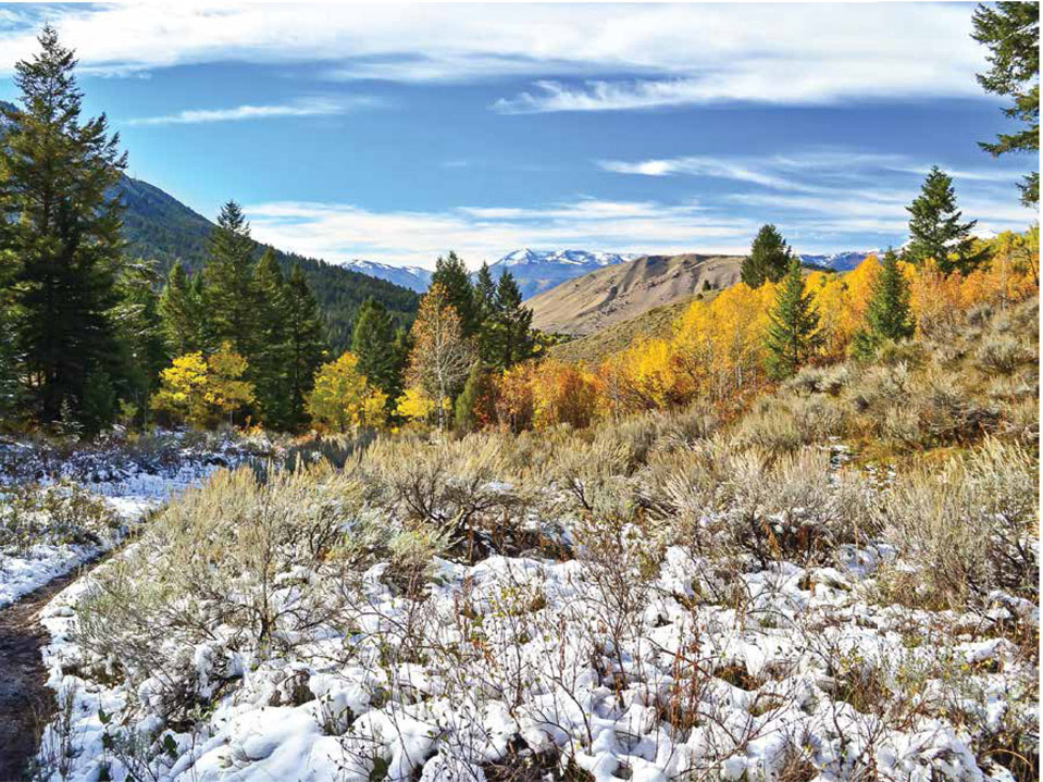 Jackson Hole Wyoming MP MEGAN PETERSON PHOTOGRAPHY Introduction As parents - photo 2