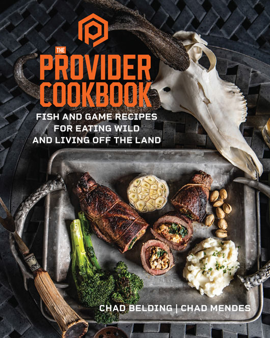 PRAISE FOR THE PROVIDER COOKBOOK An amazing book showcasing the best - photo 1