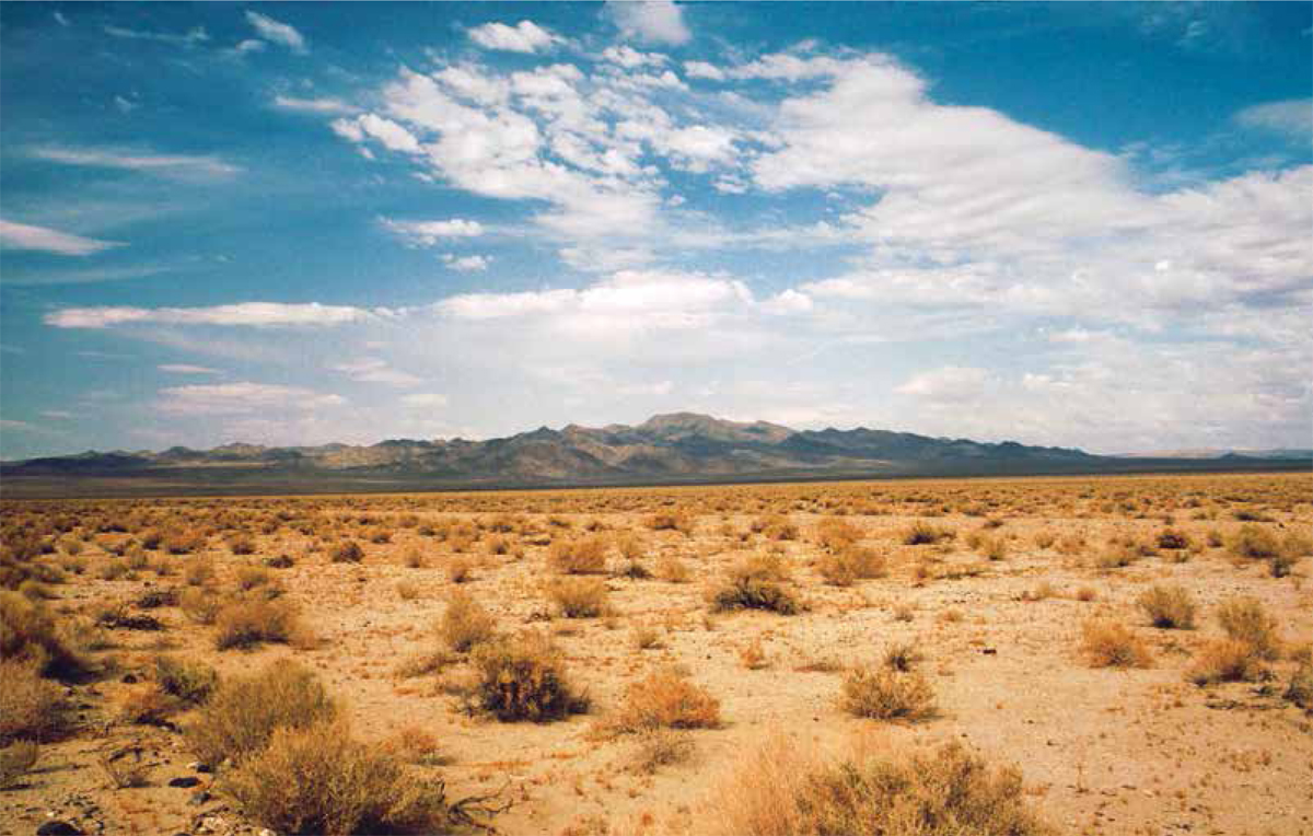 Death Valley a desert that stretches across California and Nevada is home to - photo 15