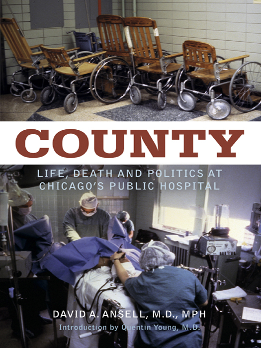 COUNTY Life Death and Politics at Chicagos Public Hospital - image 1