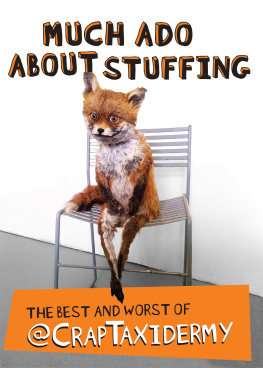 @CrapTaxidermy Much Ado about Stuffing: The Best and Worst of @CrapTaxidermy