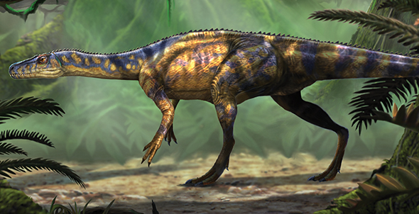 One of the very first dinosaurs was Panphagia pan-FAYG-ee-uh Panphagia - photo 12