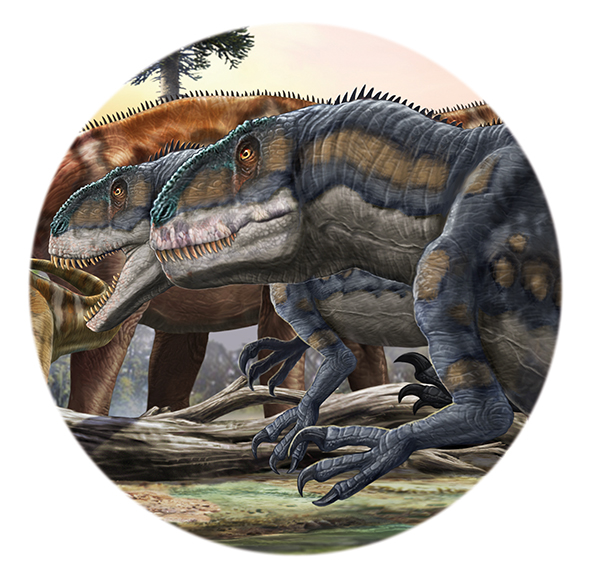 Other dinosaurs hunted for meat to eat One meat-eater was named Mapusaurus - photo 20