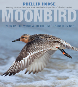 Phillip Hoose - Moonbird: A Year on the Wind with the Great Survivor B95