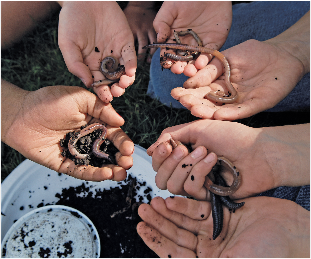 Earthworms amoebas mites and moles also live in the soil As they search for - photo 19