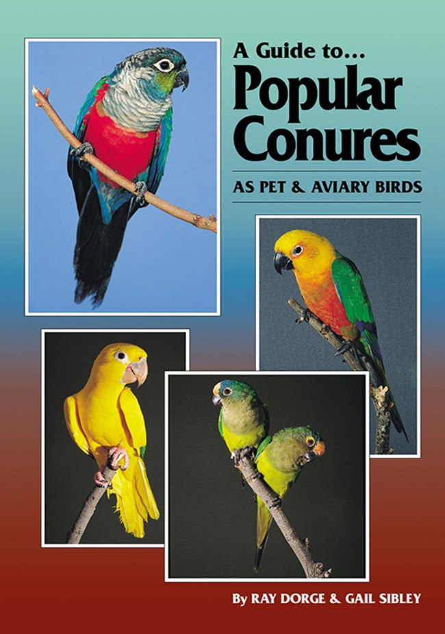 A Guide to Popular Conures AS PET AND AVIARY BIRDS It is not only fine - photo 1