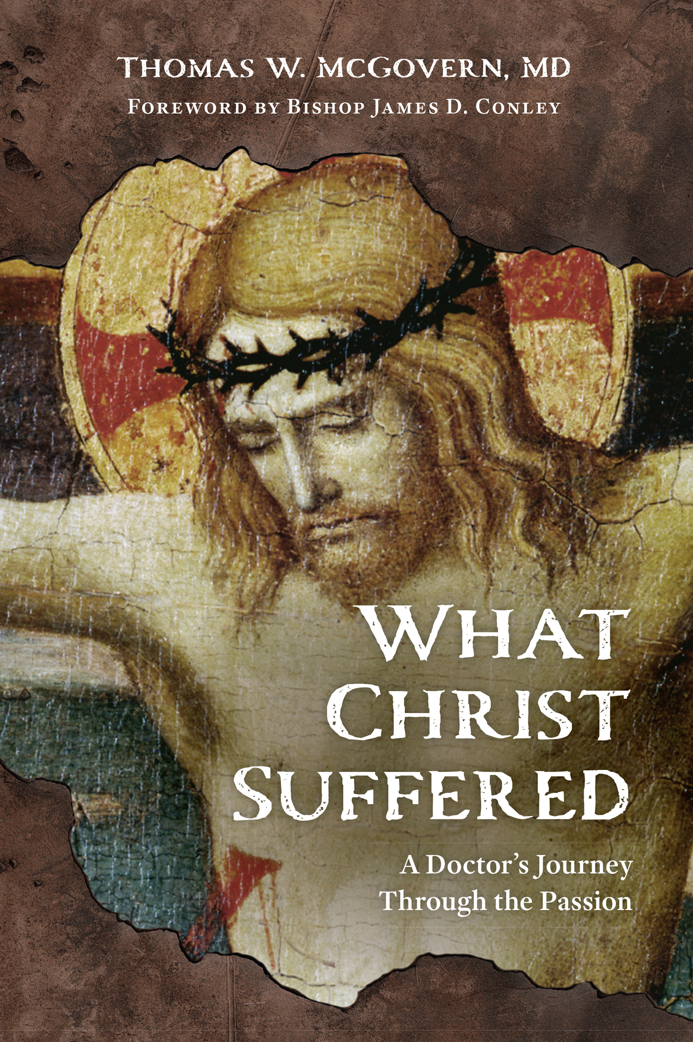 What Christ Suffered What Christ Suffered A Doctors Journey Through the - photo 1