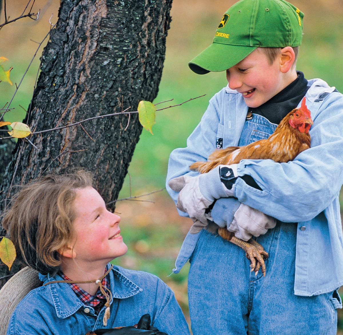 Chickens are a great family project and building a coop together can be very - photo 9