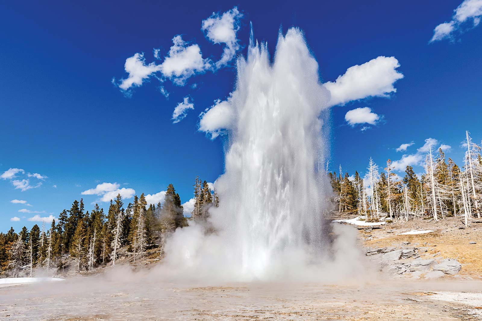 if time permits to see Castle Geyser Grand Geyser Grotto Geyser and - photo 11