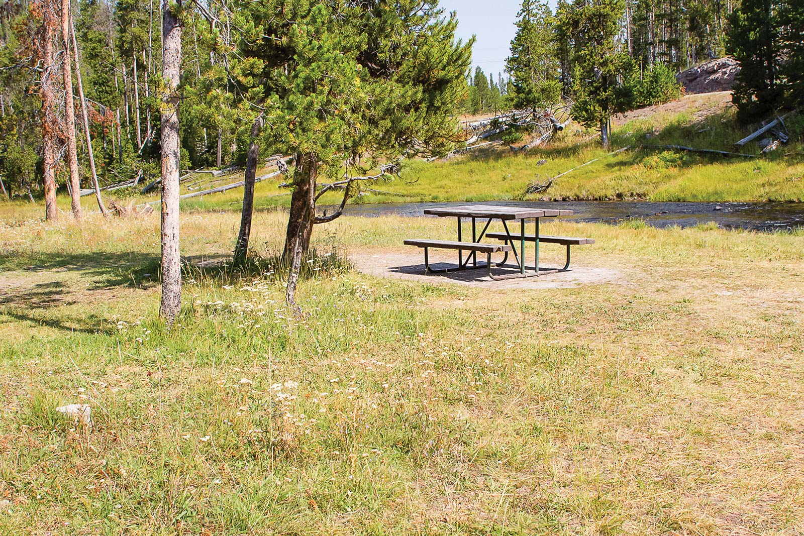 to walk by Black Growler and the colorful Porcelain Basin - photo 14