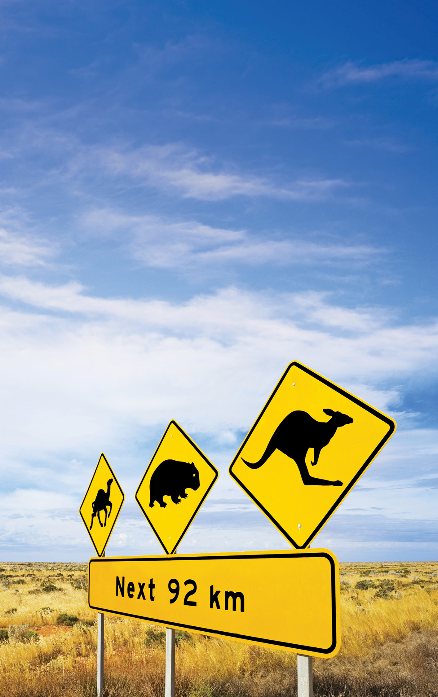 A road sign in South Australia warns motorists of camels wombats and - photo 5