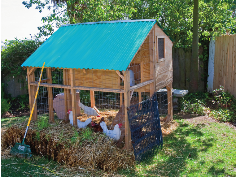 Backyard chicken coops let you collect organic eggs at home Next time youre - photo 5