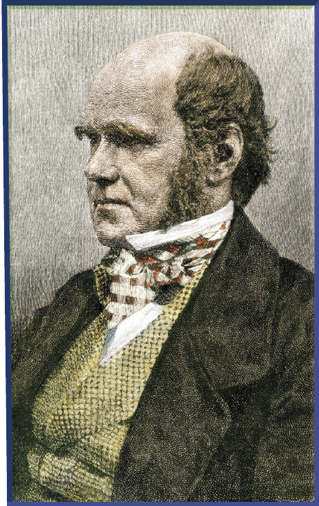 This is a portrait of Charles Darwin at about the age of 45 just before he - photo 3