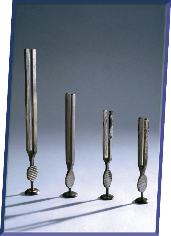 The long of tuning forks vary in length When they are struck their - photo 9