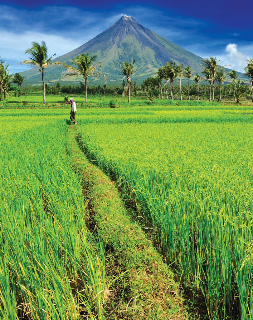 The Philippines has about 20 active volcanoes including Mount Mayon This - photo 3