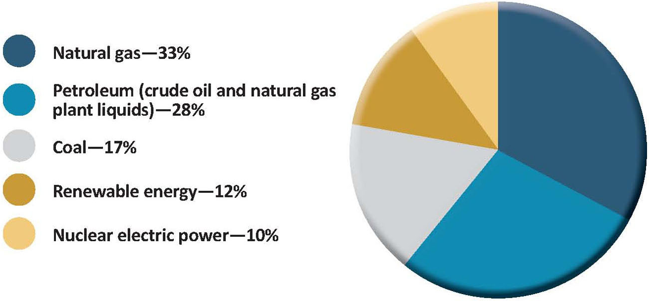 Where the Energy Comes From Here are the major sources of the nations energy - photo 7