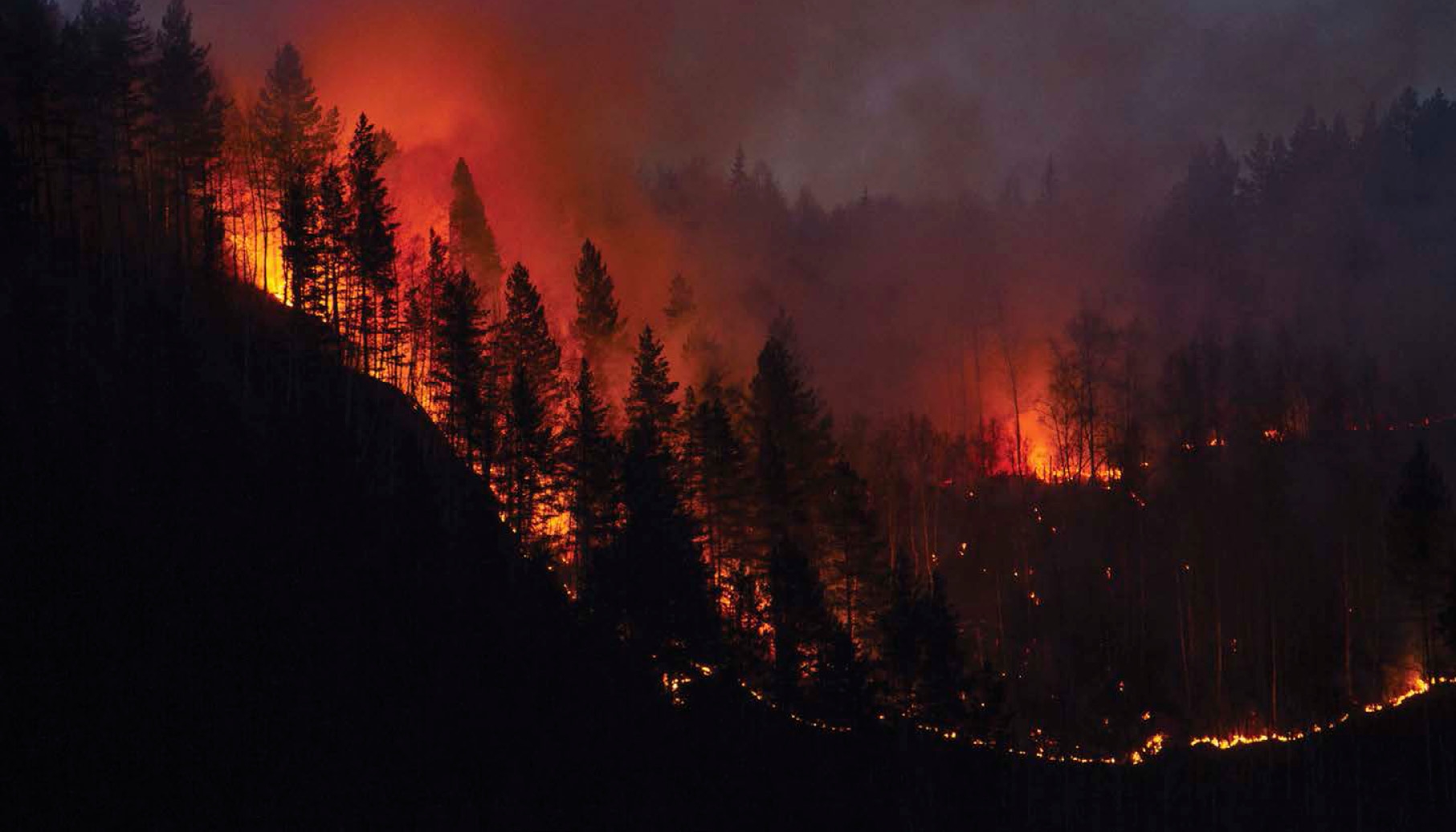 Wildfires are a common sight in California causing damage to peoples farmland - photo 6