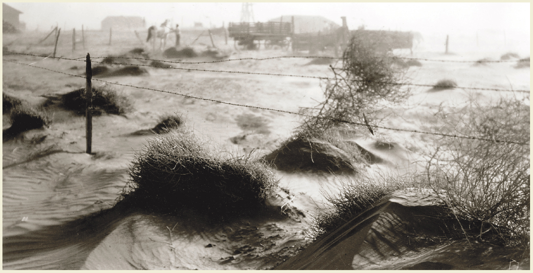 The once plant-filled plains transformed into desert landscapes in the Dust - photo 4