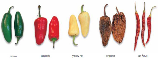 Similar in appearance to New Mexican varieties guajillos are used mostly in - photo 3