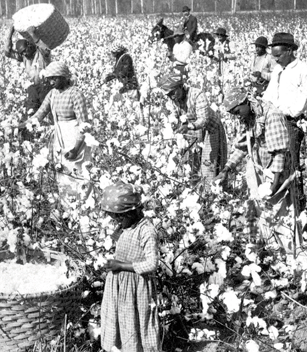 Many enslaved people were forced to work in cotton fields as shown in this - photo 7